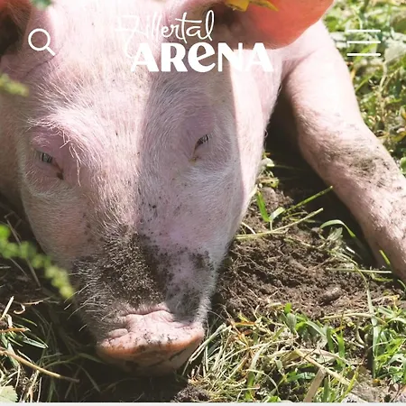 Hanna Διαμέρισμα Hainzenberg